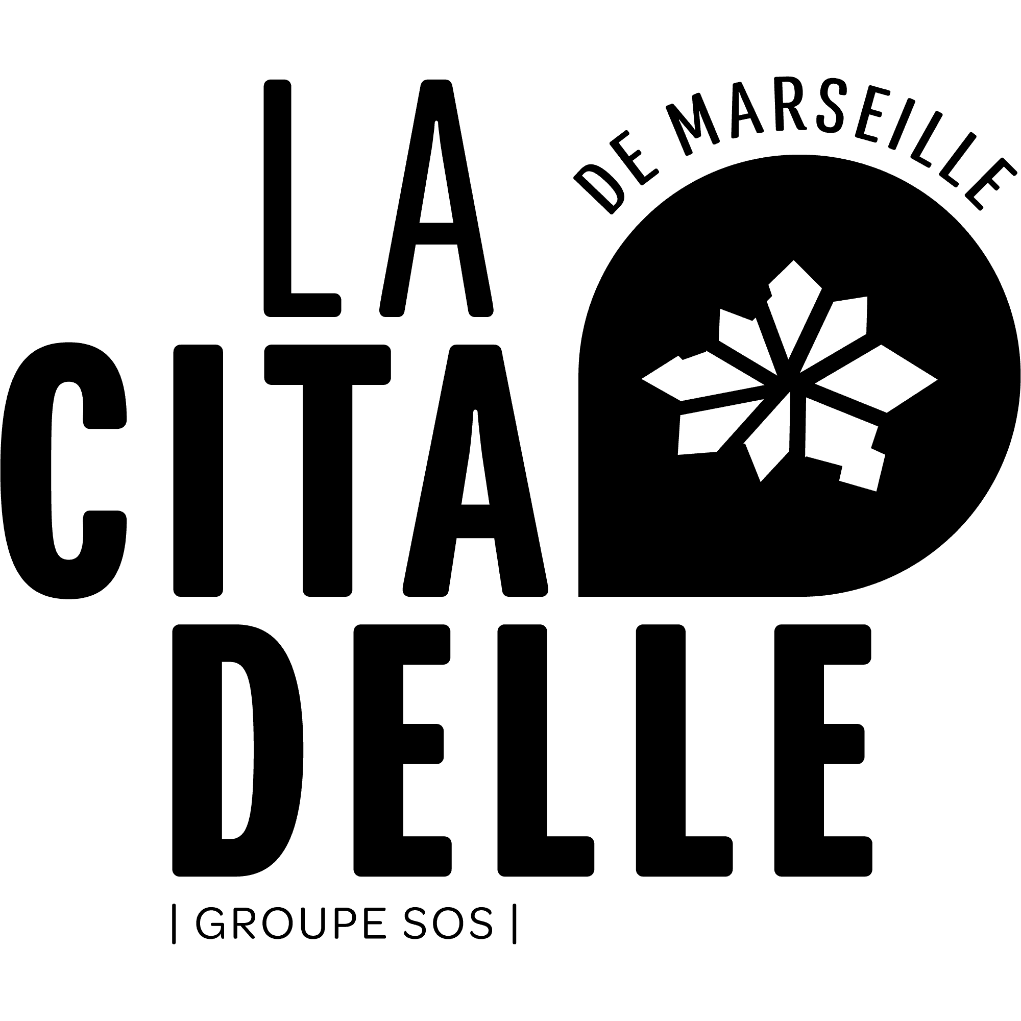 Sponsor